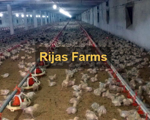 rijas-farm